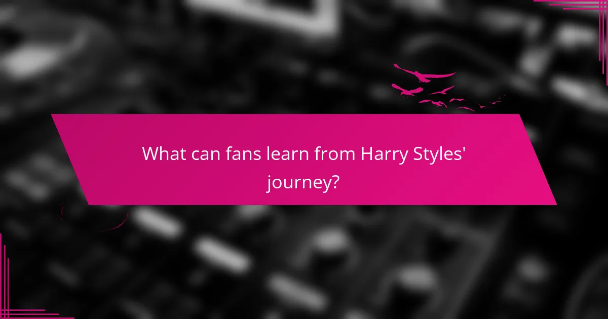 What can fans learn from Harry Styles' journey?